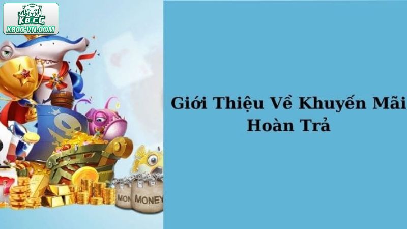 Khuyến Mãi Hoàn Trả Thua Dành Cho Cược Thủ Tại K8CC 2 Khái quát về ưu đãi hoàn trả thua cược tại K8CC
